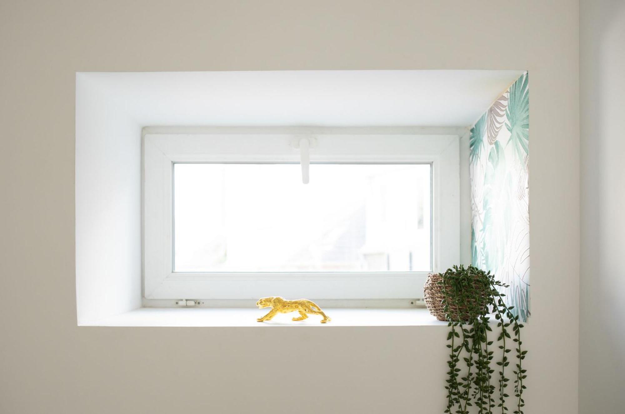 Jungle Appartement Lumineux Plein Centre Булонь-сюр-Мер Екстер'єр фото
